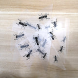 Custom Air force 1 Ants Stickers, Tested Durable And Cool Easy Use Iron On Patches, Best For DIY A Ants Shoes Perfect Gift for Kids