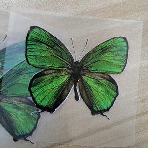 Green Butterfly Stickers For DIY or Custom Air Force 1/Vans or Sneakers