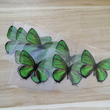 Green Butterfly Stickers For DIY or Custom Air Force 1/Vans or Sneakers