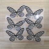 Black and White Butterfly Stickers For DIY or Custom Vans/AF1
