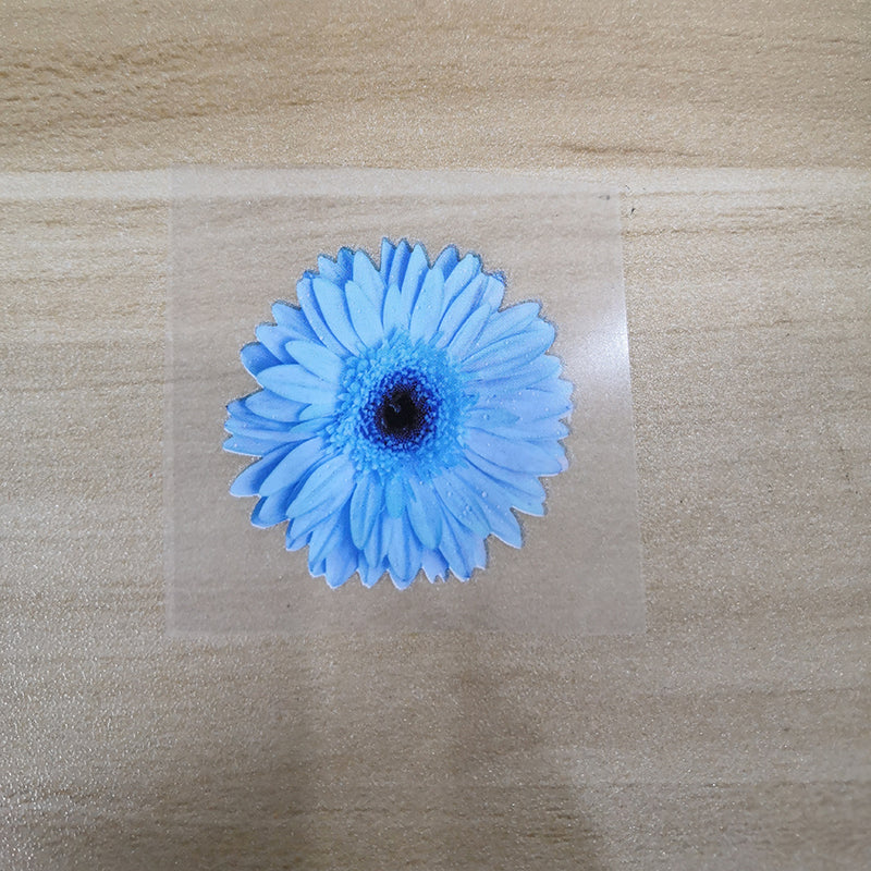 Custom Vans Light Blue Chrysanthemum Stickers Best For DIY Sneakers Floral