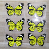 yellow butterfly patches for shoes decal