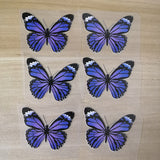 purple butterfly iron on 