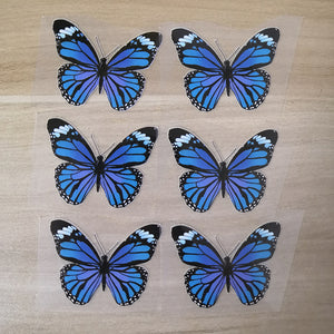iron on blue butterfly stickers