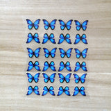 small butterfly stickers for kid shoes