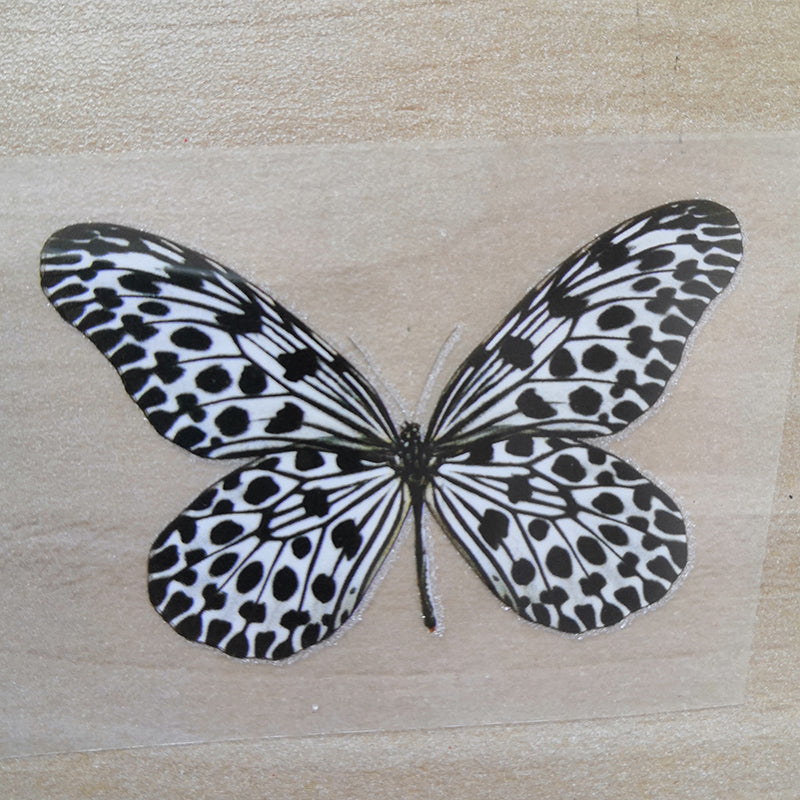 Black and White Butterfly Stickers For DIY or Custom Vans/AF1