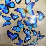 Vavirous Sizes Blue Butterfly Patches,Heat Transfer Butterfly Stickers for Custom/DIY Sneakers