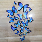 Vavirous Sizes Blue Butterfly Patches,Heat Transfer Butterfly Stickers for Custom/DIY Sneakers