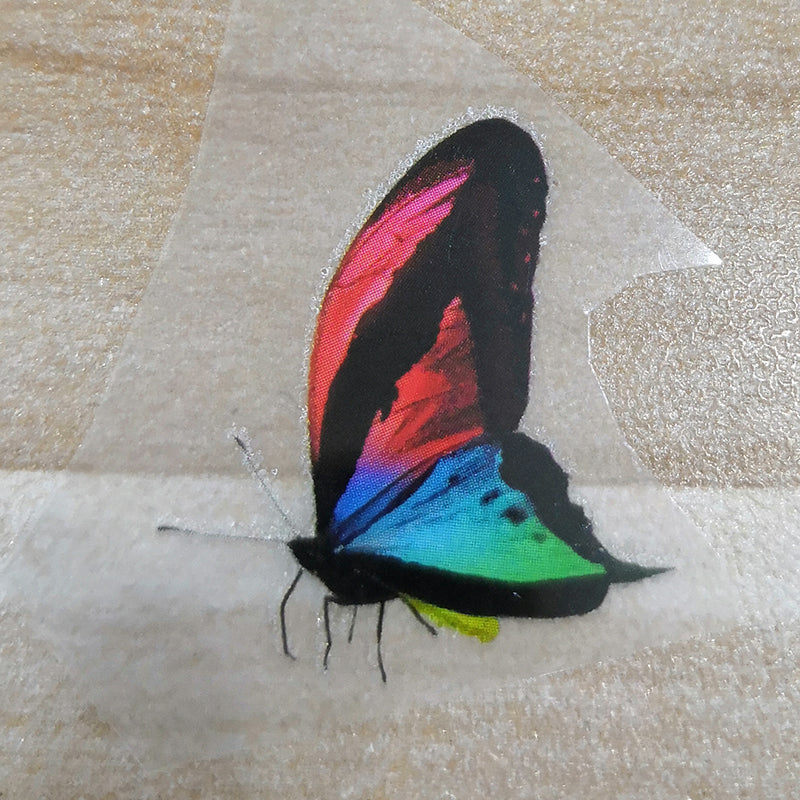 colorful butterfly patches