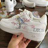 dior robot dinosaur af1