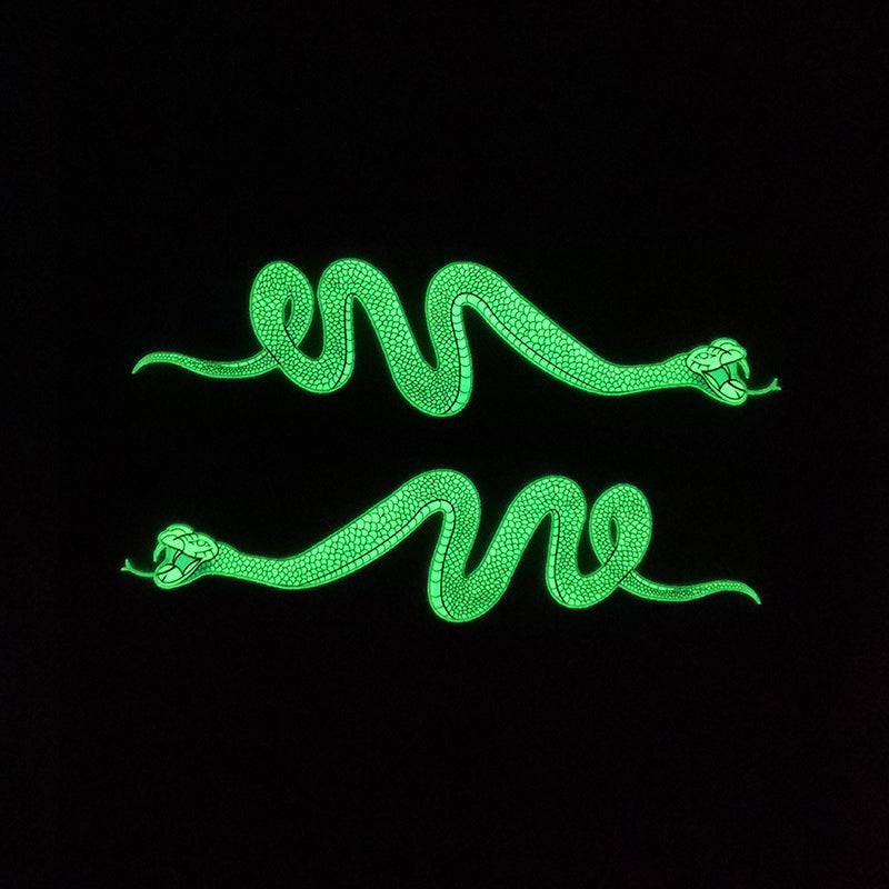 glow in dark snake iron on stickers