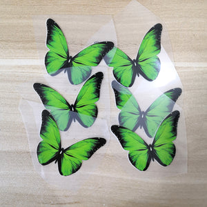 heat transfer butterfly green