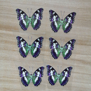 purple and white butterfly iron on