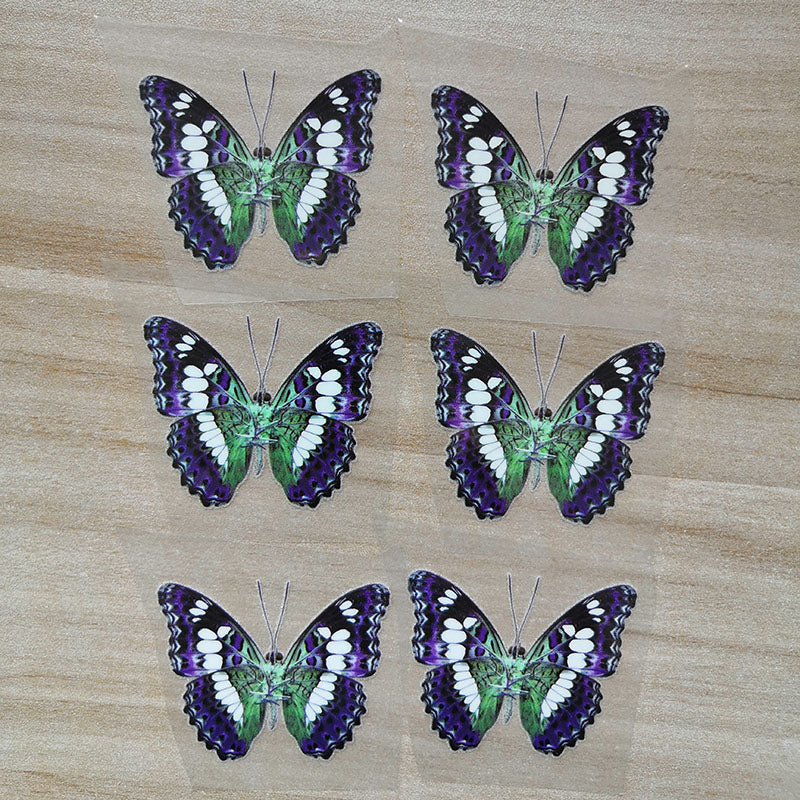 purple and white butterfly iron on