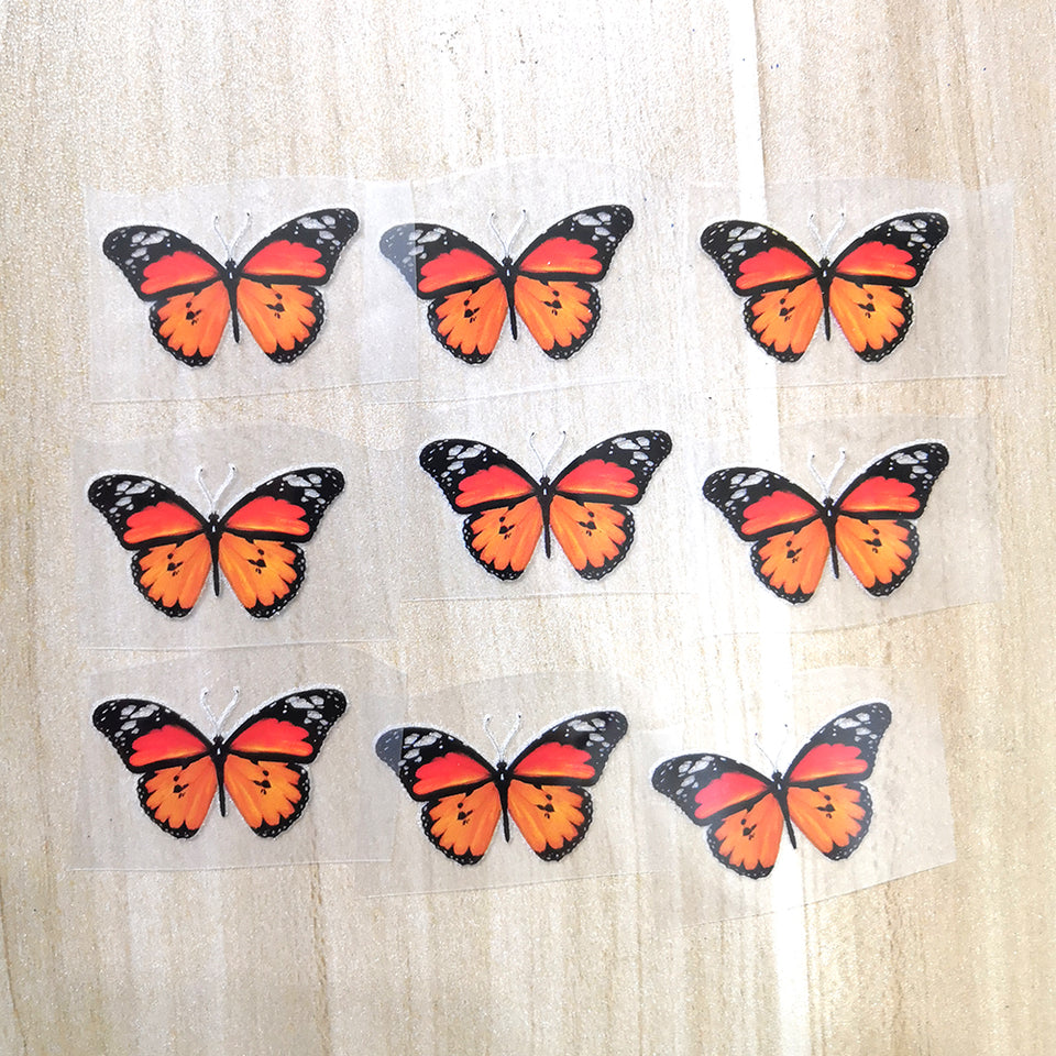 nomarch butterfly stickers for shoes
