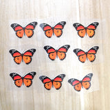 nomarch butterfly stickers for shoes