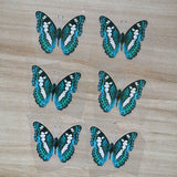 Turquoise butterfly iron on stickers