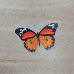 Heat Transfer Monarch Butterfly Patches 3 Designs 7 Butterflies Stickers For DIY Adult or Kid Shoes